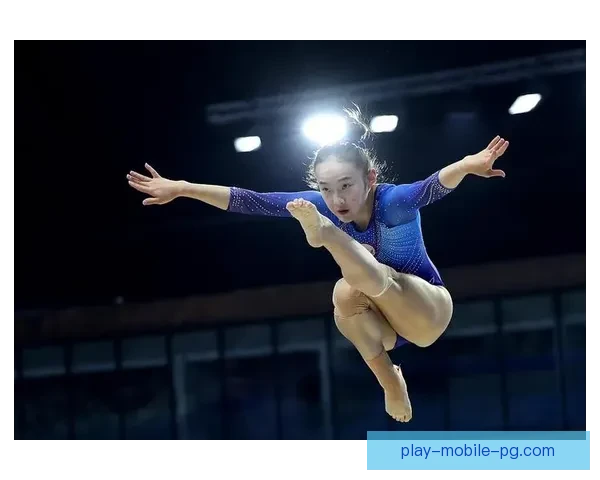 体操公开赛：璀璨竞技之光