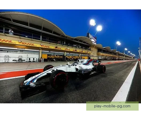 F1赛场：速度与激情的极限挑战