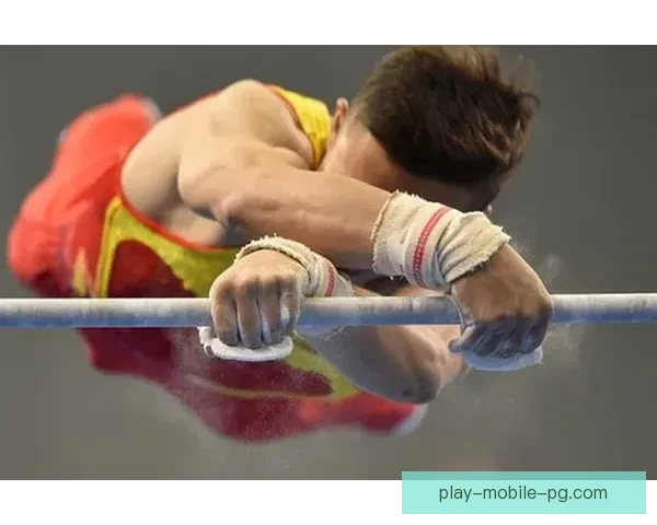 体操数据分析：揭秘体操运动背后的数字密码