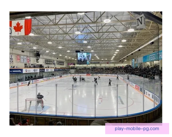 冰球比赛预测：精准猜测胜负，分析战术暴击比分