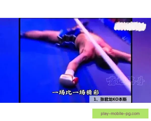 学习拳击技巧,提升实战技能,助你获得完美KO! 学习拳击技巧,提升实战技能,助你获得完美KO!