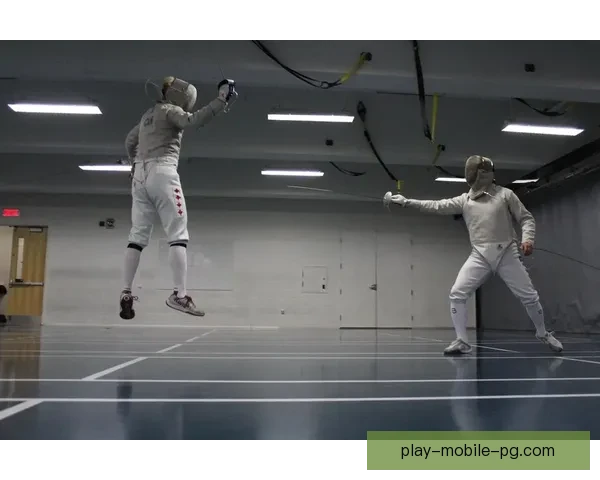 学会击剑的技巧：详细教学视频分享