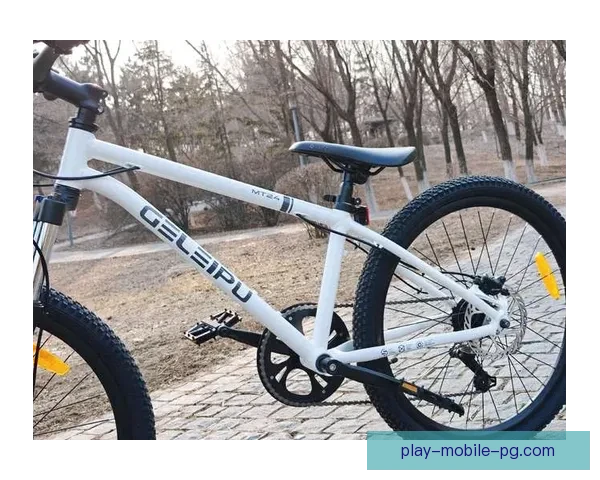 山地车入门指南：从选购到骑行技巧一网打尽