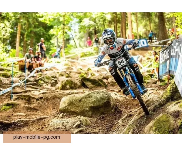 山地车排名大揭秘：挑战极限速度与激情