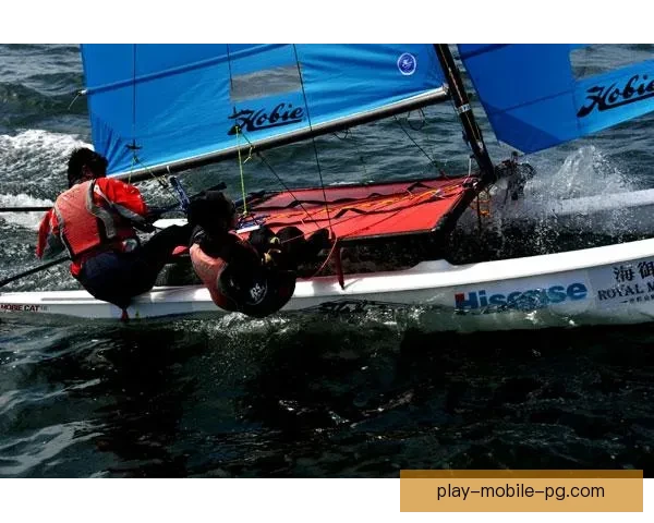 帆船比赛激情榜：挑战风浪，争夺巅峰！