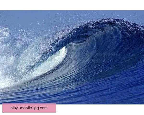 掀起浪潮:追溯冲浪运动的起源和演变 掀起浪潮:追溯冲浪运动的起源和演变