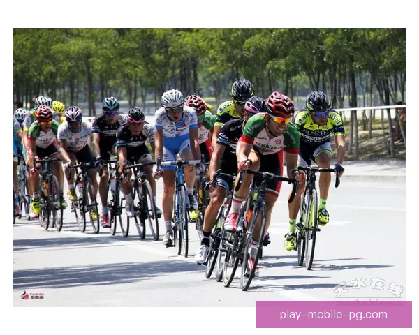 挑战极限，重温辉煌：自行车赛事精彩回放