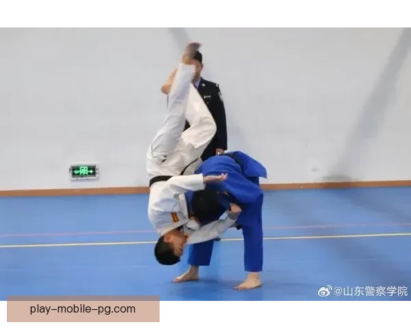 柔道训练方法解析与实践技巧