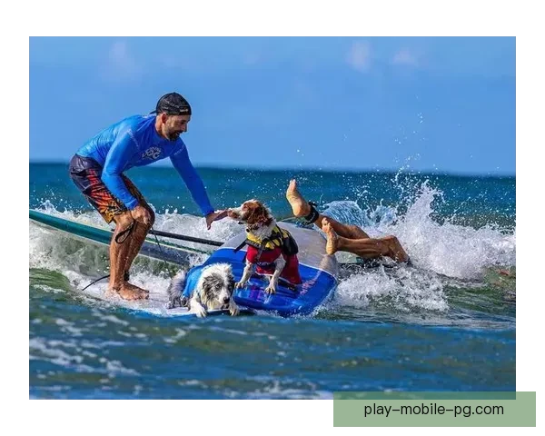 极限挑战！世界冲浪锦标赛风暴来袭