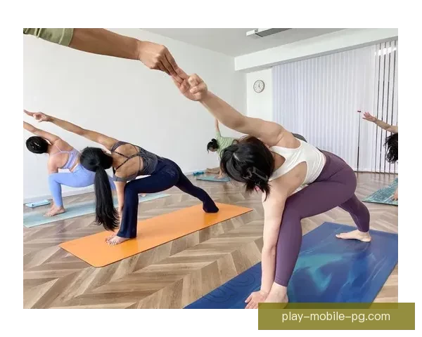 深度解析普拉提规则与健康生活的关联