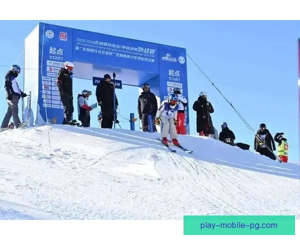 滑雪排名大揭秘：挑战自我，冲刺高度，突破极限！