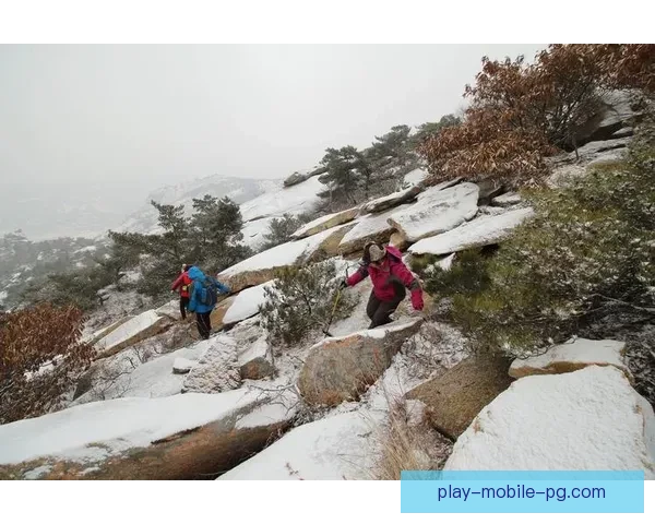 登山赛事揭晓:争风斗雪勇攀高峰,谁将笑傲群峰? 登山赛事揭晓:争风斗雪勇攀高峰,谁将笑傲群峰?