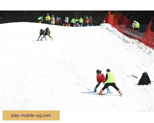 精彩绽放：滑雪大奖赛的冰雪风云