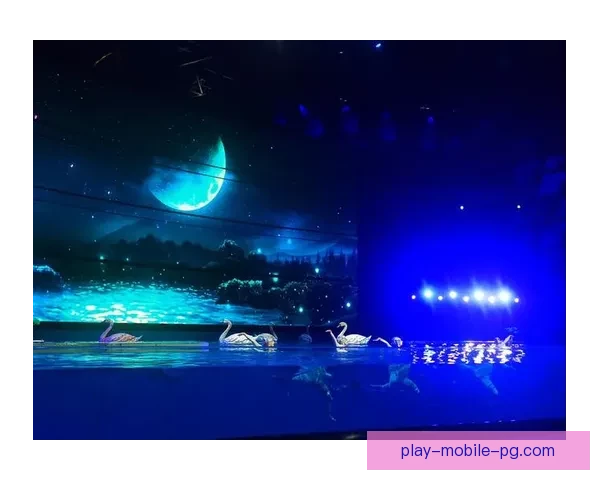 跳水公开赛：水上舞台的飞翔与挑战