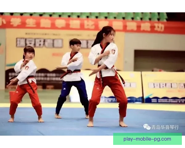 跆拳道赛事精彩回顾：畅游技击瞬间