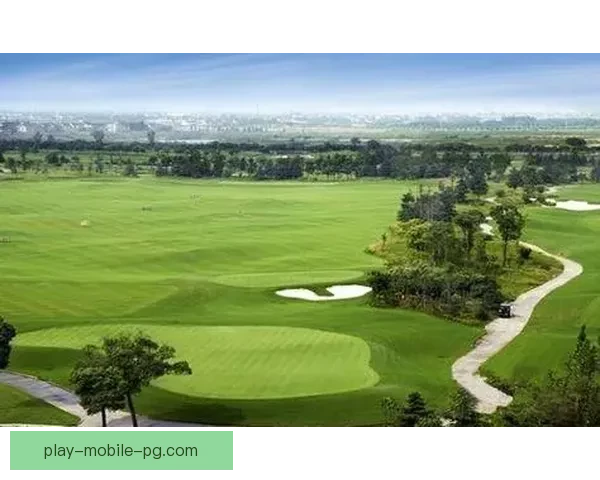 高尔夫之美：传承百年的历史风华